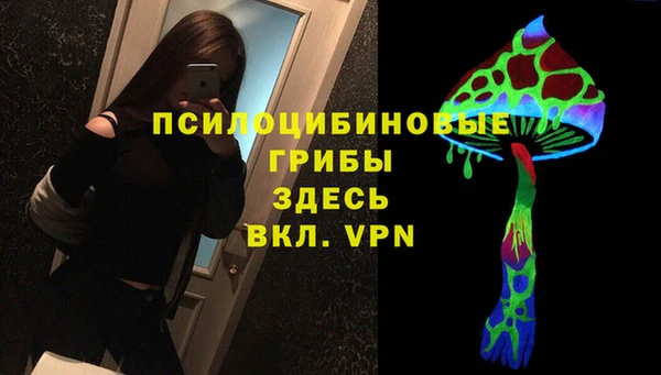 первитин Белокуриха