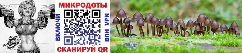 Галлюциногенные грибы прущие грибы  Купить закладки  Струнино 